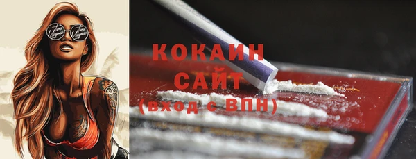 молекула духа Белоозёрский